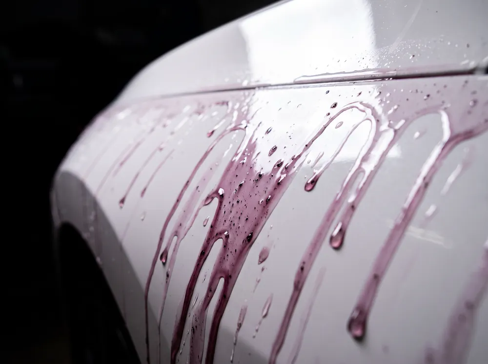 Paint Decontamination