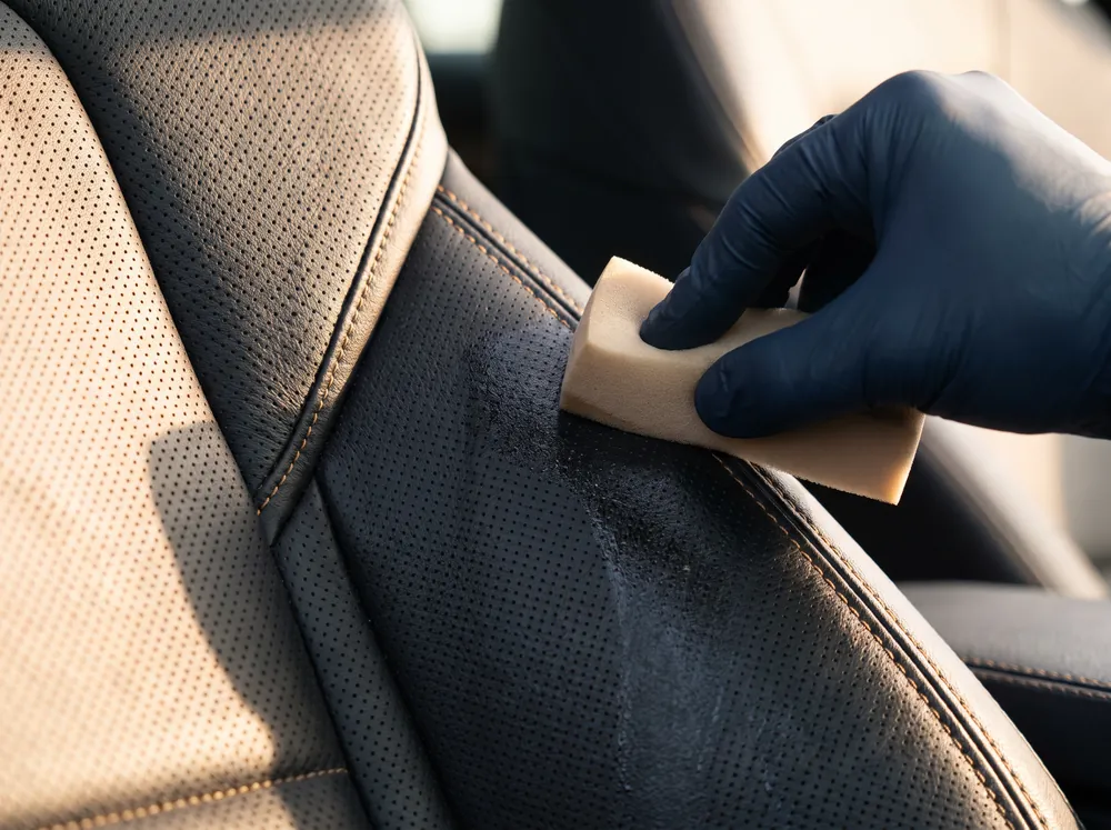 Leather Protection