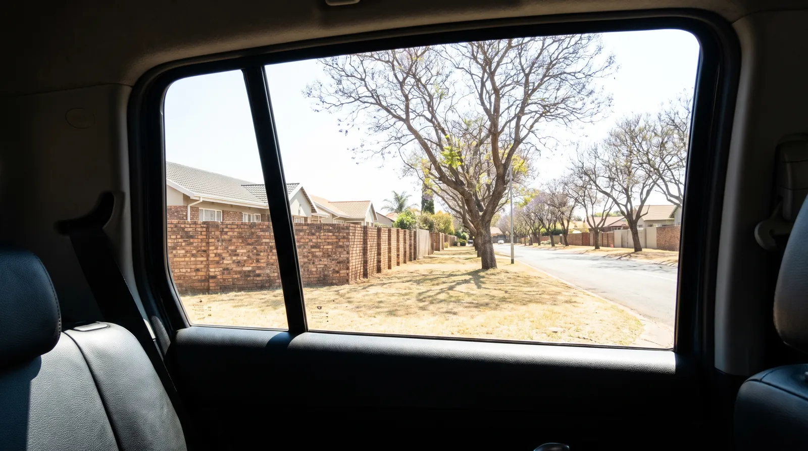 The view out of a car side window onto a sunlit suburban street.